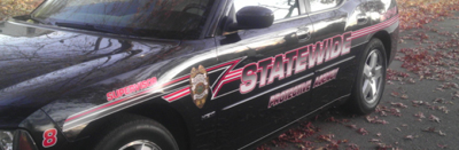 A State-Wide Protective Agency mobile patrol car